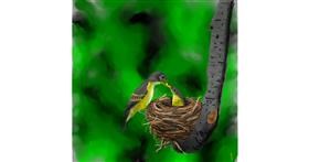 Drawing of Nest by Joze