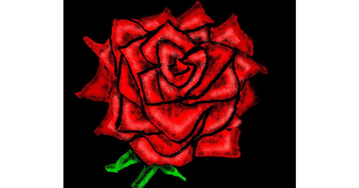 Drawing of Rose by Cherri