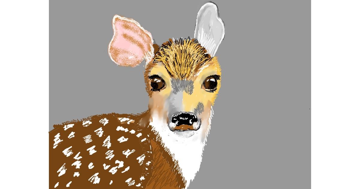 Drawing of Deer by SAM AKA MARGARET 🙄