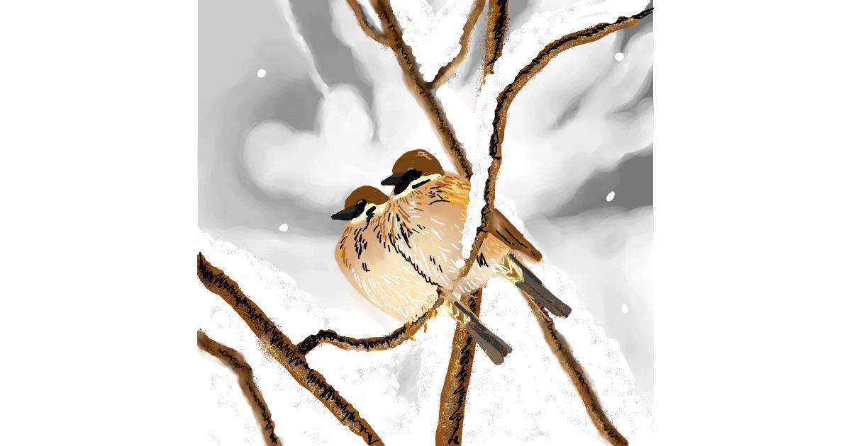 Full Size Drawing