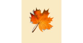 List - autor: Kelsey 