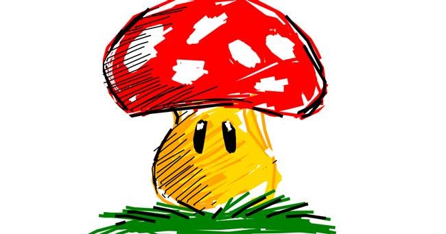 Drawing of Mushroom by Derp