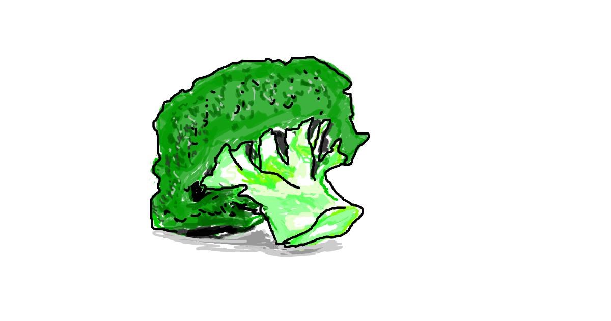 Drawing of Broccoli by Matteo Fontana