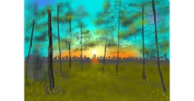 Drawing of Forest by Vlvnt