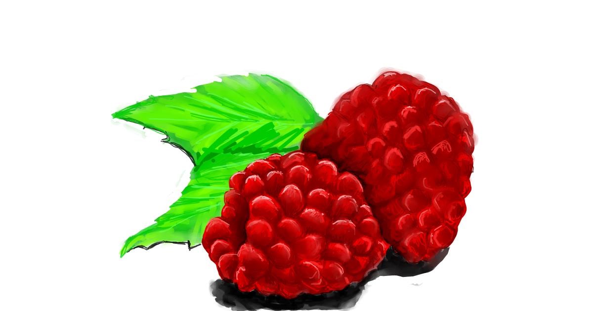 Drawing of Raspberry by JCat