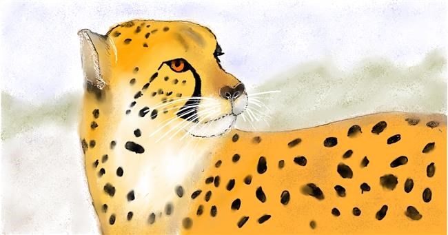 Drawing of Cheetah by Maggy