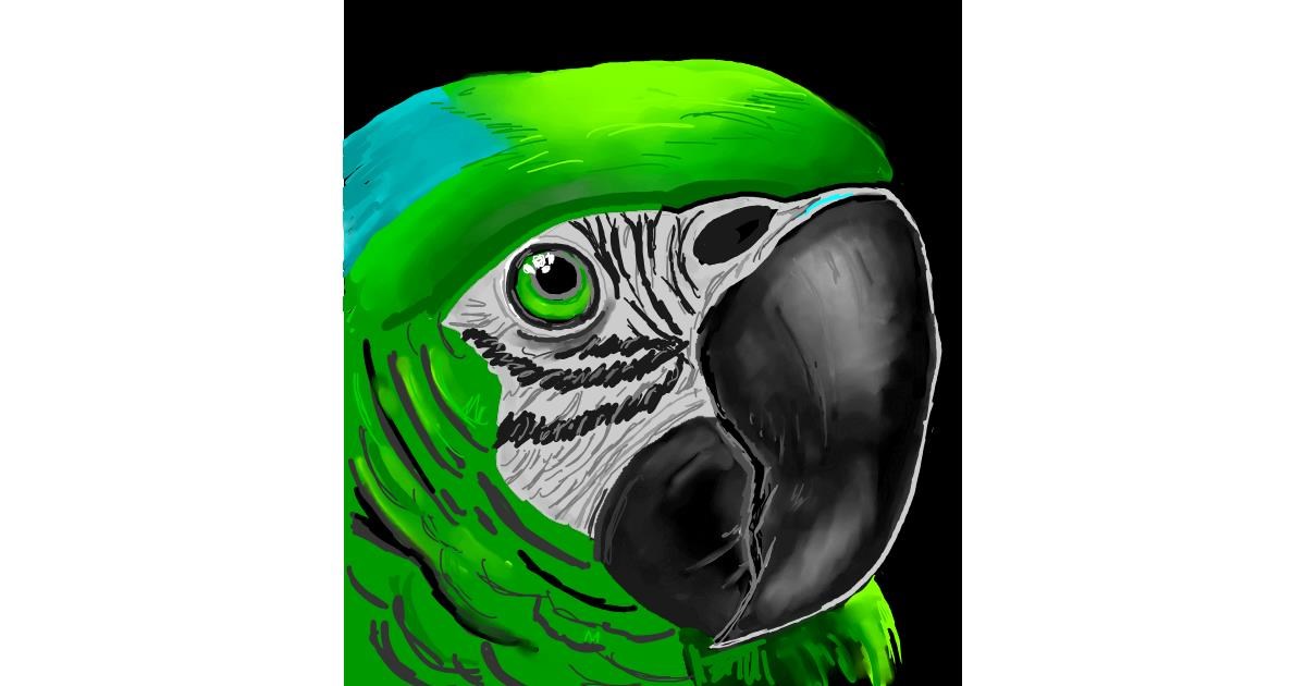 Full Size Drawing