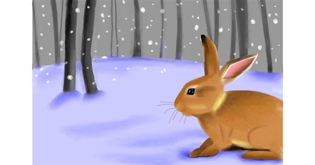 Drawing of Rabbit by Konstanz