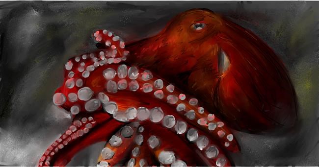 Drawing of Octopus by Mia