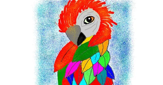 Drawing of Parrot by Leni