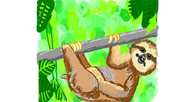 Drawing of Sloth by Geo-Pebbles