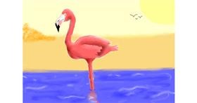 Drawing of Flamingo by jeff