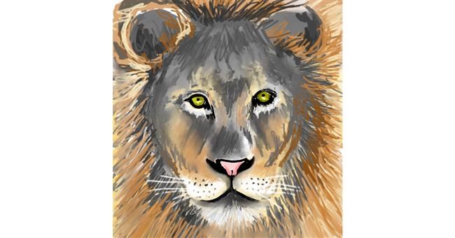 Drawing of Lion by ⋆su⋆vinci彡