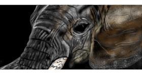 Drawing of Elephant by Chaching