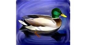 Drawing of Duck by Lou