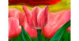 Drawing of Tulips by Mia
