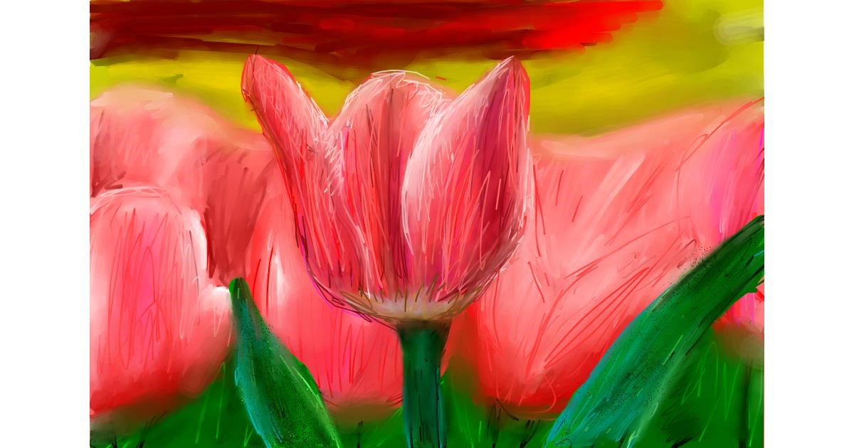 Drawing of Tulips by Soaring Sunshine