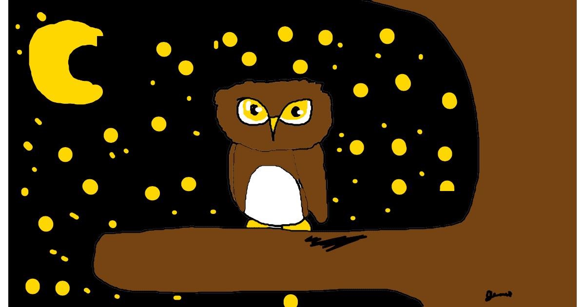 Drawing of Owl by Jessica