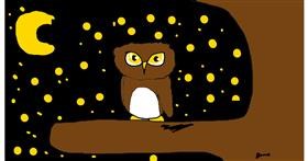 Drawing of Owl by Jessica