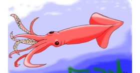 Drawing of Squid by Flowerpot
