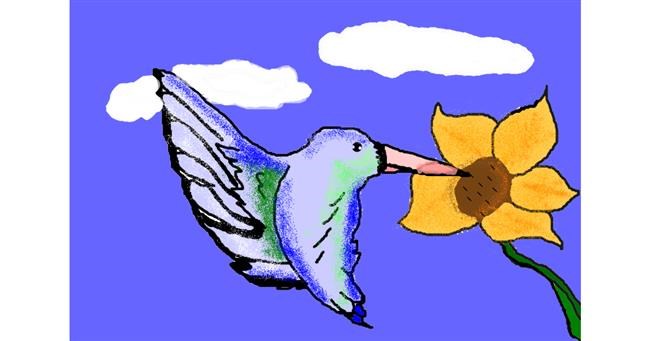 Drawing of Hummingbird by ooooof👻👻👻