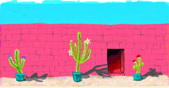 Drawing of Cactus by Helena