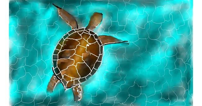 Meeresschildkröte-Zeichnung von Mandy Boggs