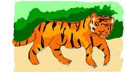 Drawing of Tiger by Lsk