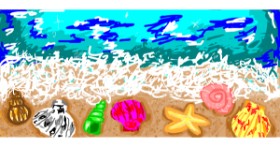 Drawing of Seashell by valerie