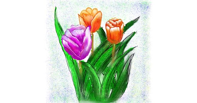 Drawing of Tulips by Fazila