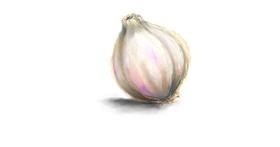 Drawing of Garlic by Andromeda