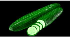 Drawing of Cucumber by Eclat de Lune