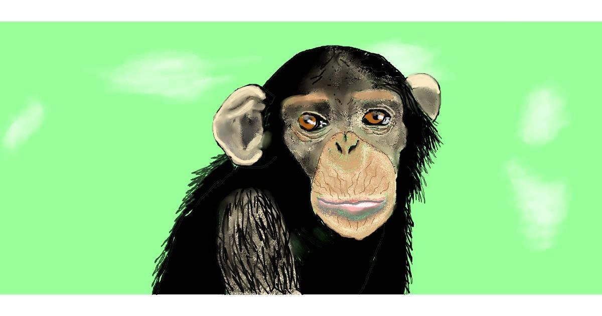 Drawing of Monkey by Debidolittle