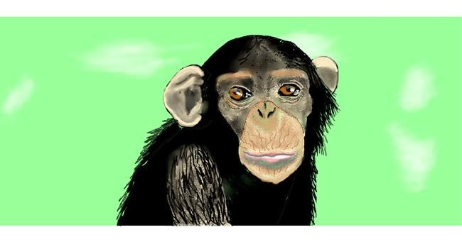 Drawing of Monkey by Debidolittle