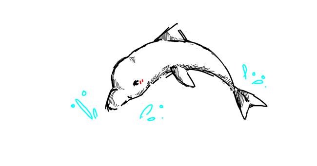 Drawing of Dolphin by reem