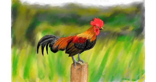 Drawing of Rooster by Humo de copal