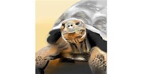 Drawing of Tortoise by ⋆su⋆vinci彡