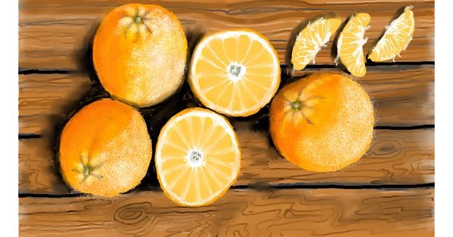 Drawing of Orange by SAM AKA MARGARET 🙄