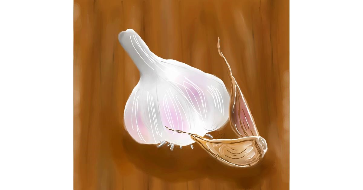 Drawing of Garlic by Joze