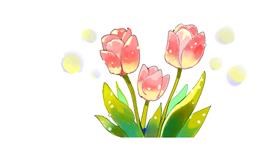 Tulipani - autor: Yellow Walrus💛