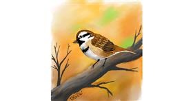 Drawing of Sparrow by GreyhoundMama