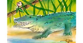 Drawing of Alligator by Radia