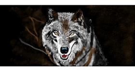 Drawing of Wolf by Chaching