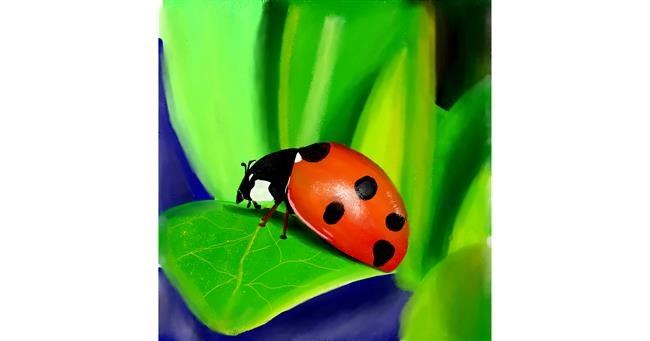 Drawing of Ladybug by Lou