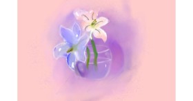 Drawing of Lily flower by why!?