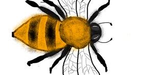 Drawing of Bumblebee by Nip
