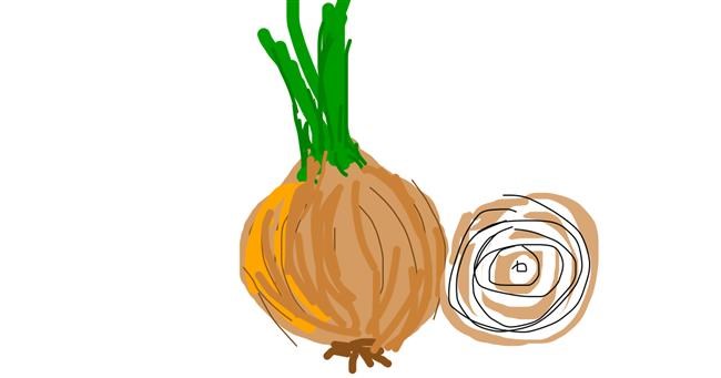 Drawing of Onion by Firsttry