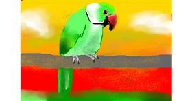 Drawing of Parrot by The person in your attic