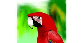 Drawing of Parrot by Joze