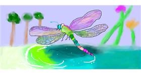 Drawing of Dragonfly by Magic Mushroom